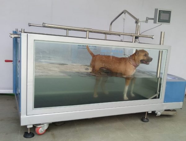 Dog water treadmill cost new arrivals