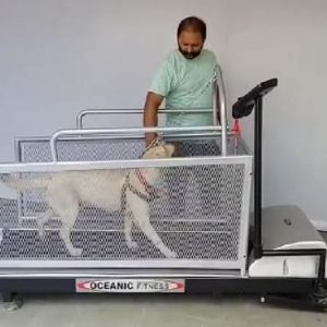 Dog Treadmill for “Me” and “My Dog”