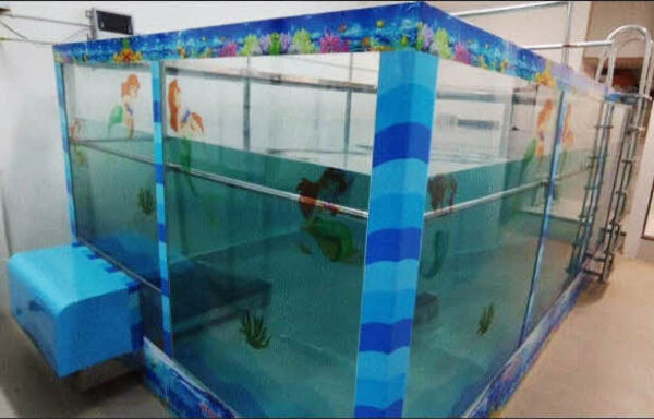 Rehab Pool with Submerged Treadmill - Image 2