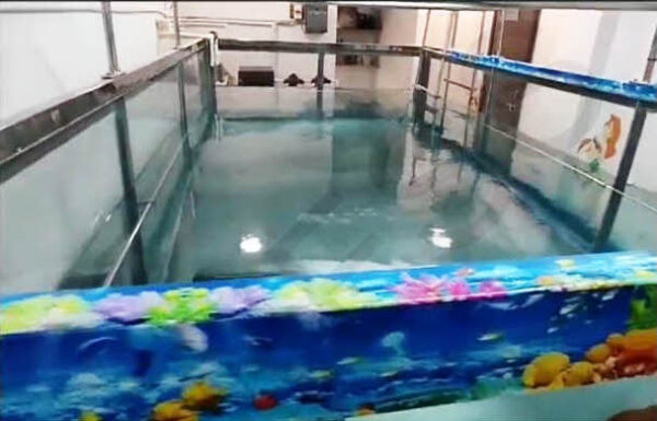 Rehab Pool with Submerged Treadmill - Image 3