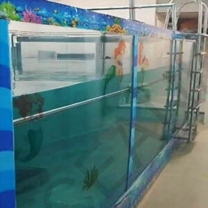 Rehab Pool with Submerged Treadmill